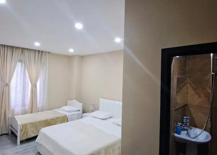 Citycenterhotel 호텔 3*